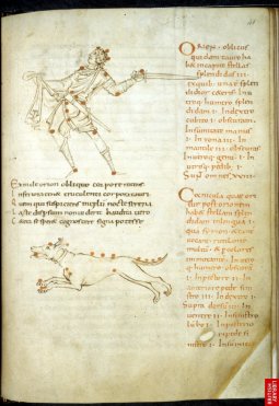 Astronomie d'après Cicéron, Orion et la constellation du chien. Les almanachs et traités d'astronomie sont aussi parmi les plus répandus des manuscrits de besace...Ici, 10ème siècle.
