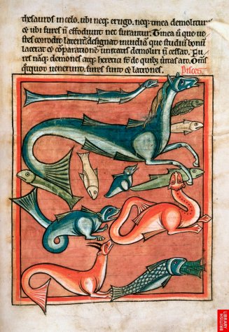 Bestiaire du 13ème, animaux marins......