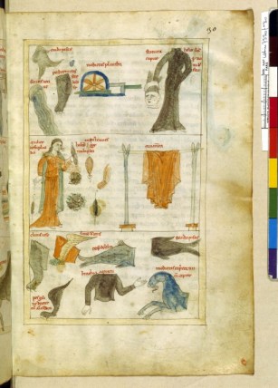 13e, Georgius zothorus, liber astrologiae,décan du Capricorne. L'astrologie sert aussi à repérer les parties du corps constituant le grand tout ; le microcosme calque en permanence le macrocosme. Pour chaque signe astral, il existe des dizaines de pages à la rigueur stupéfiante, avec catégories, propriétés, principes etc.