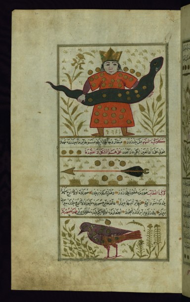  version turque du livre des merveilles de la création par Qazwīnī, Zakarīyā ibn Muḥammad,(1203-1283) Ici encore tout est relié, cosmos, astrologie, pouvoirs temporels, diversité des créatures et mythologies