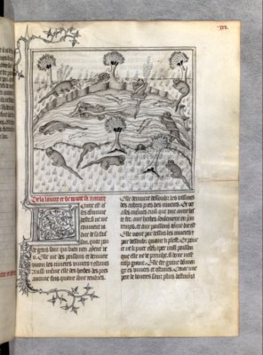 ici, chasse à la loutre ; il y a presque dix pages, uniquement pour le sanglier. La maîtrise de la représentation en vue cavalière de l'espace est très moderne ; on se détache des fonds unis et les scènes s'inscrivent clairement dans la profondeur de champ.