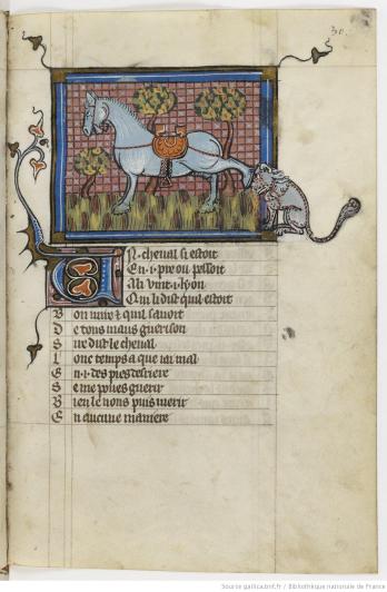 Le fameux bestiaire d'amour de Richard de Fournival est là encore un mélangedebestiaire, de fables etde légendes. La maîtruisedes figures et le jeu avec les cadres est ici manifeste. 