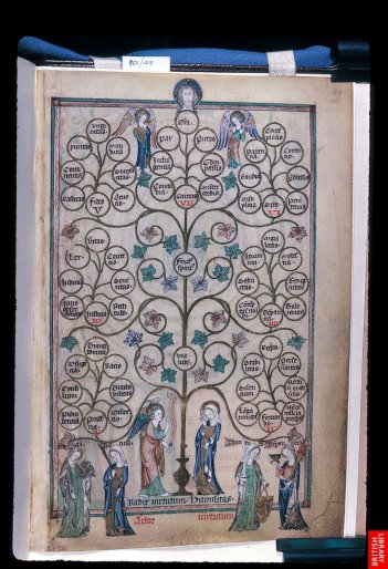L'arbre des vertus ; le modèle de pen,sée en arborescence est fameux et opère un contyrpoint dynamique aux organisations symétriques. Psautier du 14ème. 
