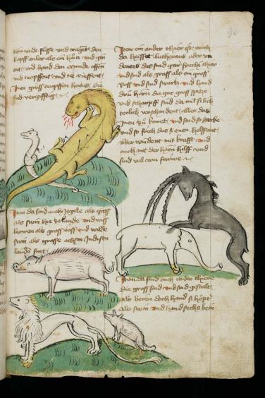 Dans la suite des voyages de Mandeville, les bestiaires étranges.