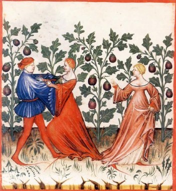 15e, Tacuinum Sanitatis, traduction de Ibn Al Butlan 9