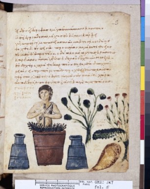 Manuscrit turc du 9ème siècle, en grec ; paysan préparant un onguent contre les vipères!!Extrait d'un livre mêlant légendes, herbier, bestiaire et astronomie