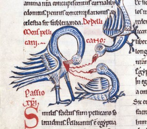 Bestiaire troyen du 12ème. le sacrifice du ,pélican ; se mêmlent dans les bestiaires, des informations naturalistes et des attributions symboliques, magiques et/ou religieuses.