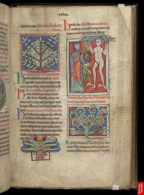 13eme, Manuscrit de "besace" typiqued'un genre associant les cadres précieux, les lettrines soignées, les figures observées.