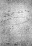 le point-centre est présent comme origine invisible de ces ellipses.