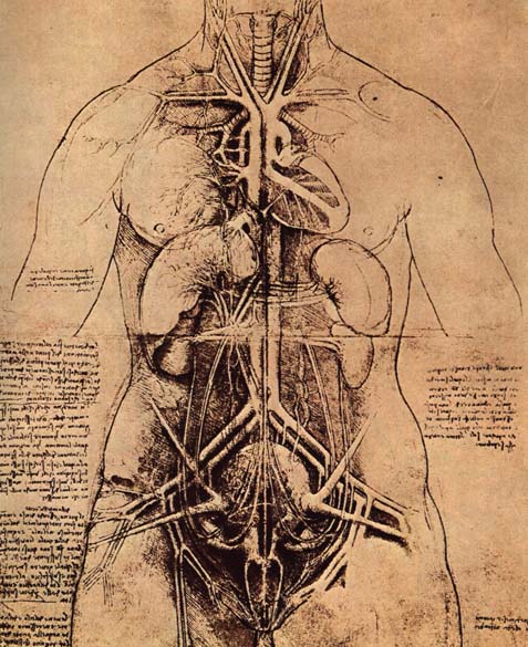 Leonardo Da Vinci, anatomie de torse féminin ; Duchamp reprend cette vision du corps contenant-origine.